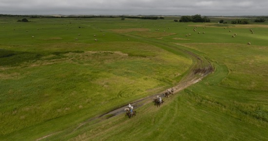 John Cook Champions Nebraska Grasslands in New PSA Campaign