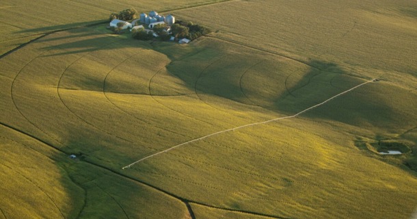 Nebraska net farm income is projected to reach a record $9.96 billion in 2026, driven by higher government payments, strong livestock receipts and a rebound in crop revenue. Craig Chandler | University Communication and Marketing