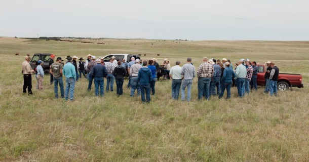 A crowd gathers around a pasture from a previous Extension tour. Photo by Karlie Gerlach.