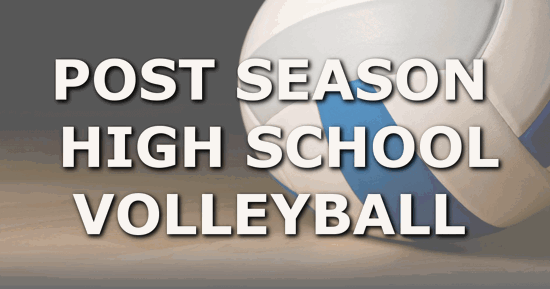 Volleyball On A Court 